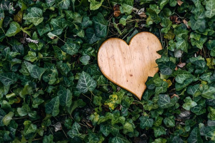 Vielen Dank für deine Nachricht!